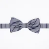 Papillon a righe