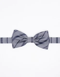 Papillon a righe