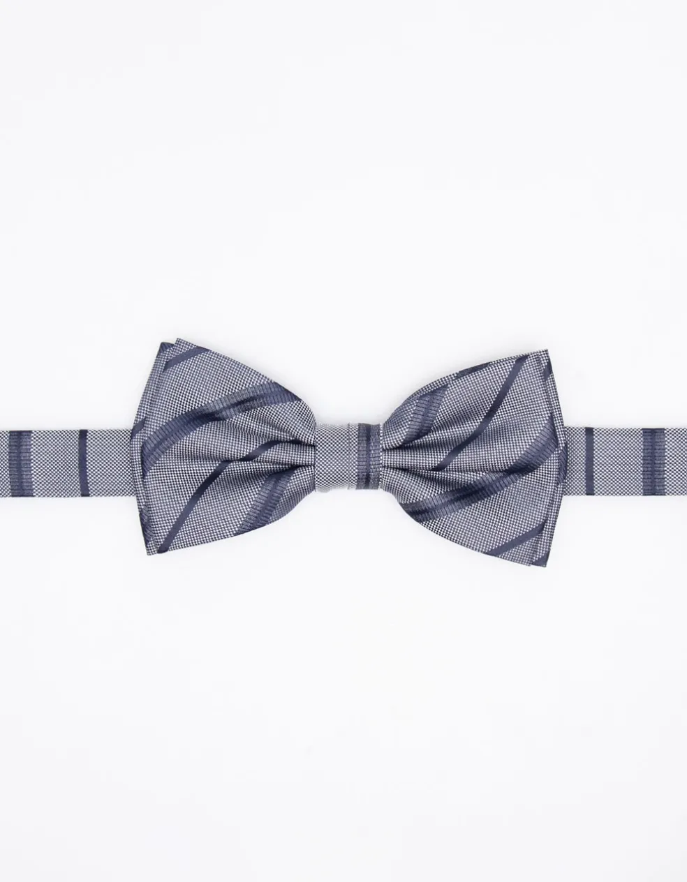 Papillon a righe