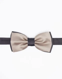 Papillon fantasia
