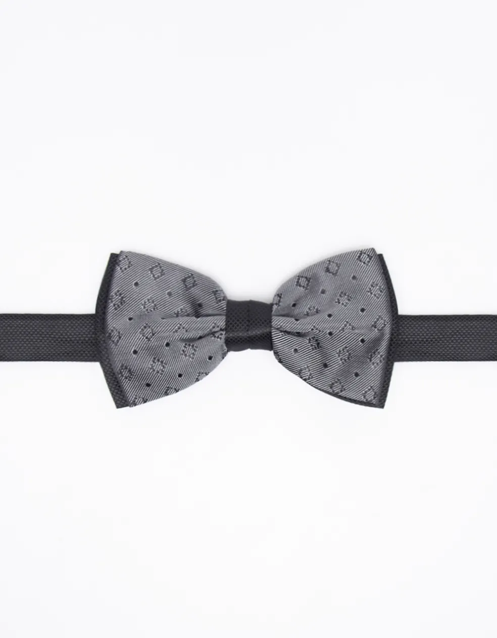 Papillon fantasia