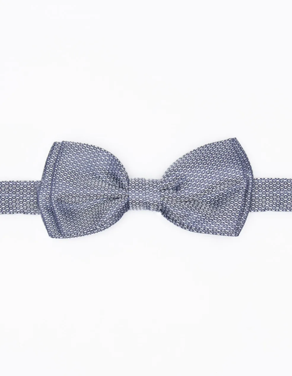 Papillon fantasia