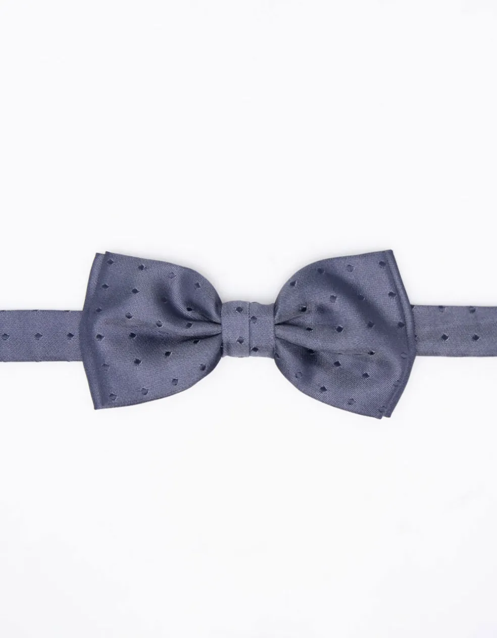 Papillon fantasia