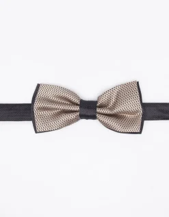 Papillon fantasia