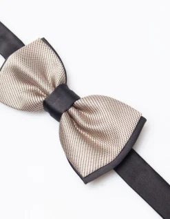 Papillon fantasia