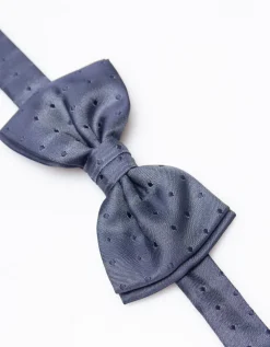 Papillon fantasia
