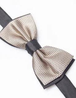 Papillon fantasia