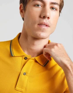 Polo 100% cotone