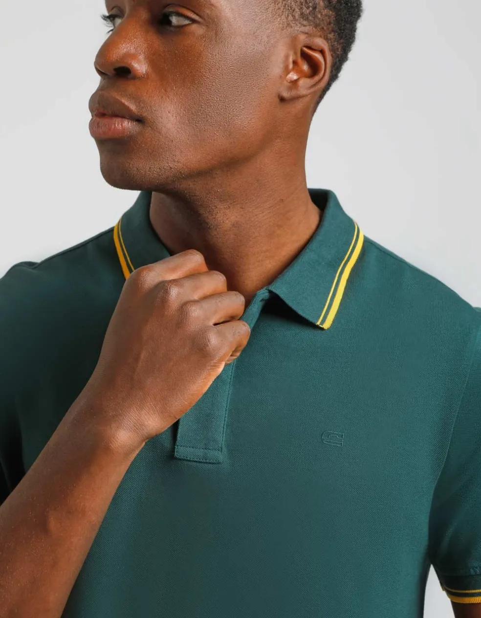 Polo 100% cotone