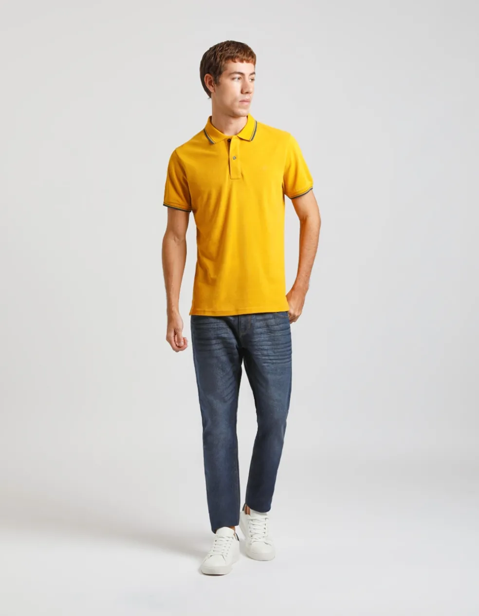 Polo 100% cotone