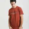 T-shirt 100% cotone con stampa