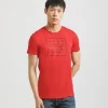 T-shirt 100% cotone con stampa