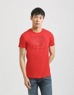 T-shirt 100% cotone con stampa