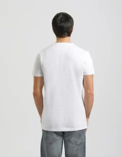 T-shirt 100% cotone con stampa