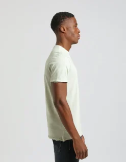 T-shirt basic 100% cotone